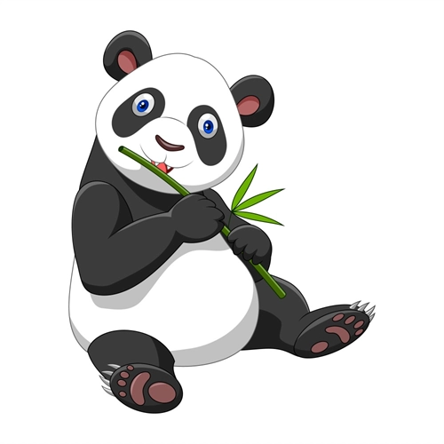 Jungle Safari Adorable Panda Transparent Sticker
